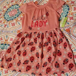 NWT peanut & ollie Toddler Dress Ladybugs/Daisies
